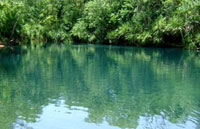 Berry Springs near Darwin