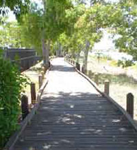 Pioneer River boardwalk, Mackay