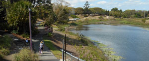 View from the Mackay Botanic Gardens walkway.
