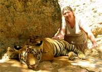 Bronwyn strokes a tiger