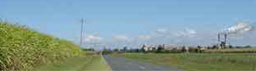 Canefields and Racecourse Mill at Mackay, Queensland.