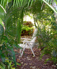Chair in secret garden