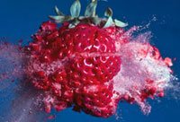 Alan Sailer's exploding strawberry