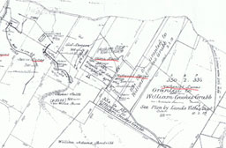 Map of the land grants showing Lucas holdings in Tasmania.