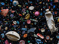 Ocean debris into art
