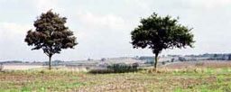 Ridgemont in Bedfordshire, England.