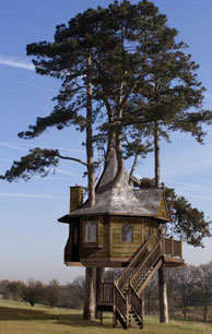 I dream of a tree house