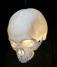 Delightful skull lamp