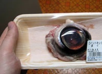 Tasty tuna eyeball