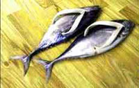 Fishy footwear