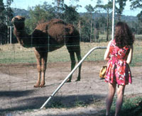 Young Diana looking at a camel