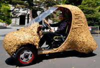 The bamboo car