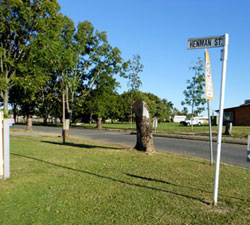 Trees murdered in Henman Street