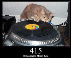 Cat on a vinyl record