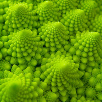 Fractals and cauliflowers.