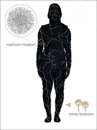 Be buried in a death suit infused with mushroom spores
