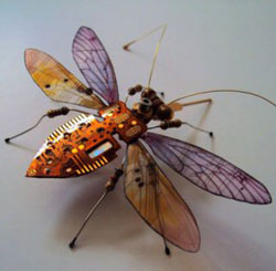 Insect by Julie Alice Chappell