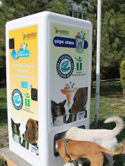 Recycled bottles feed stray animals