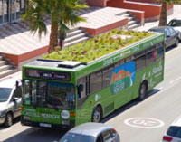 bus with grass on the top