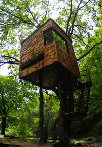 Japanese tree house designed by Takashi Kobayashi and the Treehouse People collective