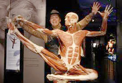 Gunther von Hagens and a plastinated body