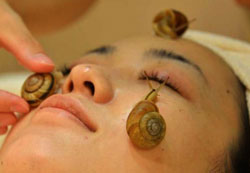 Snails as a beauty treatment