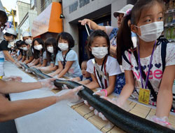 Longest sushi in the world