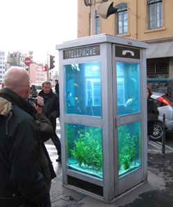 Telephone box to acquarium